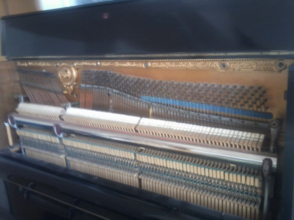 Foto0642_jpg-1333714332