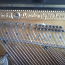 Foto0644_jpg-1333714344