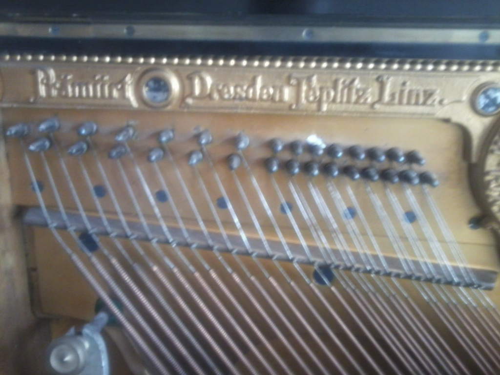 Foto0644_jpg-1333714344