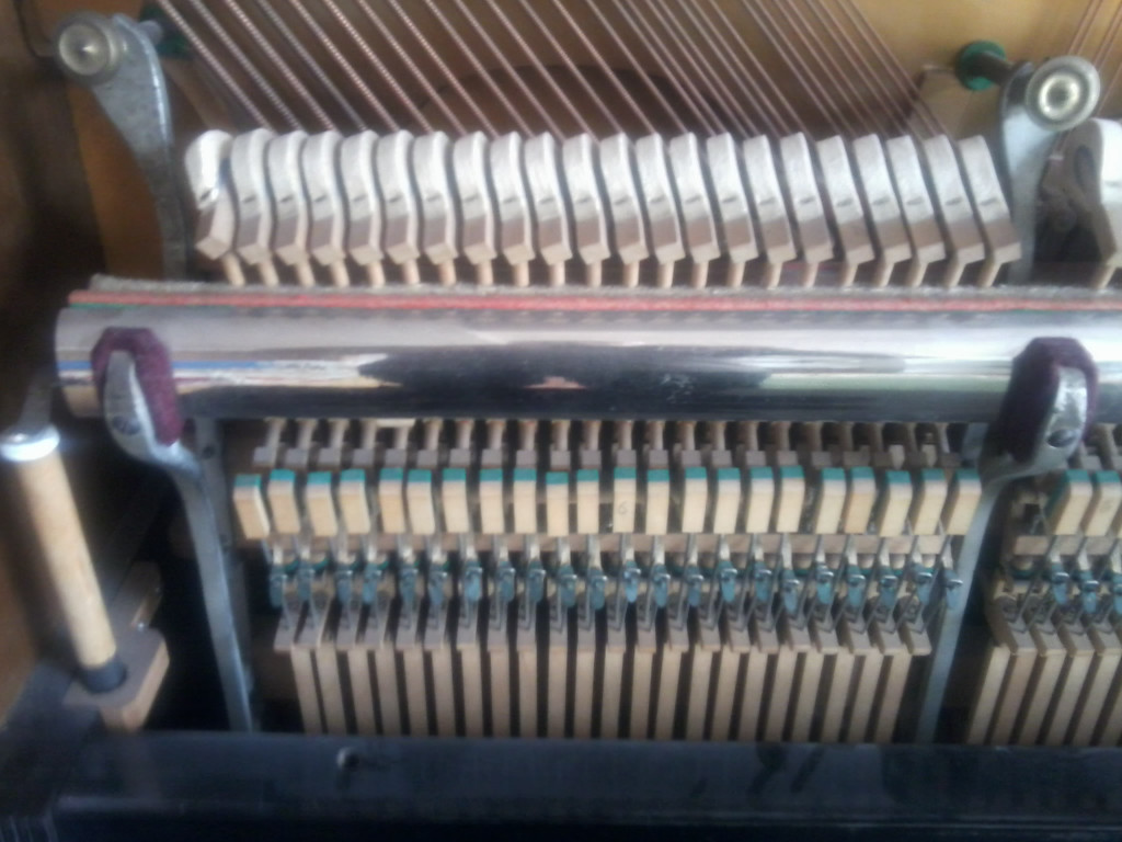 Foto0645_jpg-1333714350