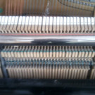 Foto0646_jpg-1333714356