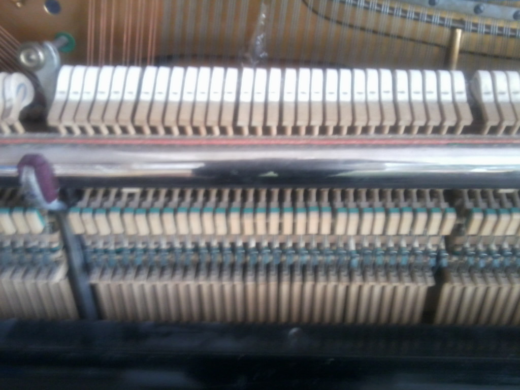 Foto0646_jpg-1333714356