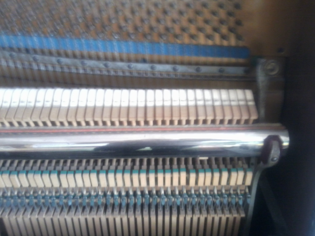 Foto0647_jpg-1333714361