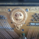 Foto0641_jpg-1333717338