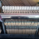 Foto0645_jpg-1333717361