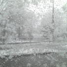 2012-04-08_07-34-40_299.jpg