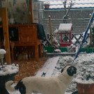 08042012168.jpg