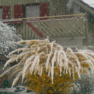 08042012170.jpg