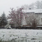 2012-04-08 07_26_53.jpg