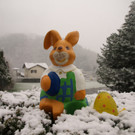 Osterhasi 2012 im Schnee.JPG