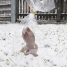 Weiße Ostern im Pongau