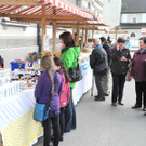 DSCN2259_JPG-1333873456