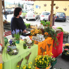 DSCN2267_JPG-1333873579