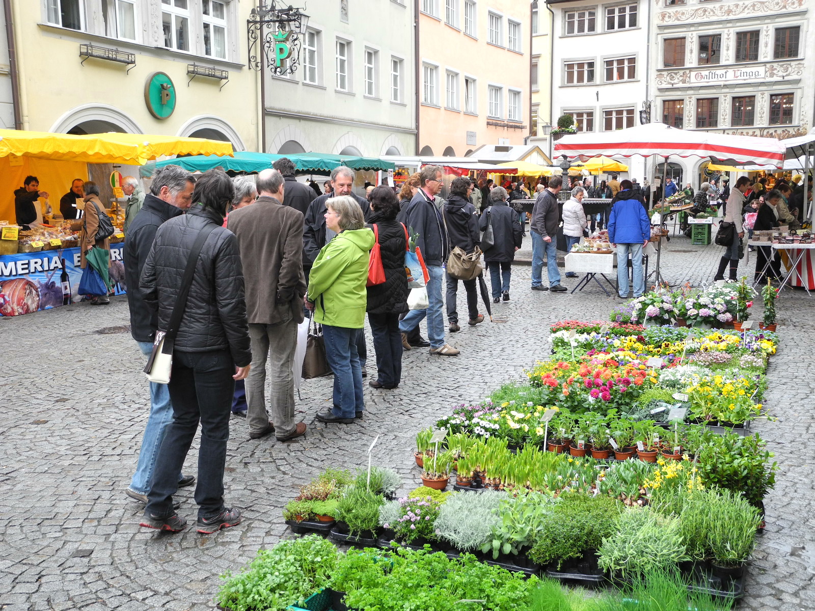 DSCN2288_JPG-1333875063