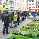 DSCN2288_JPG-1333875063