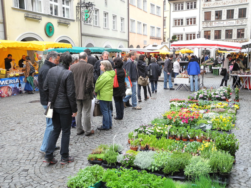 DSCN2288_JPG-1333875063