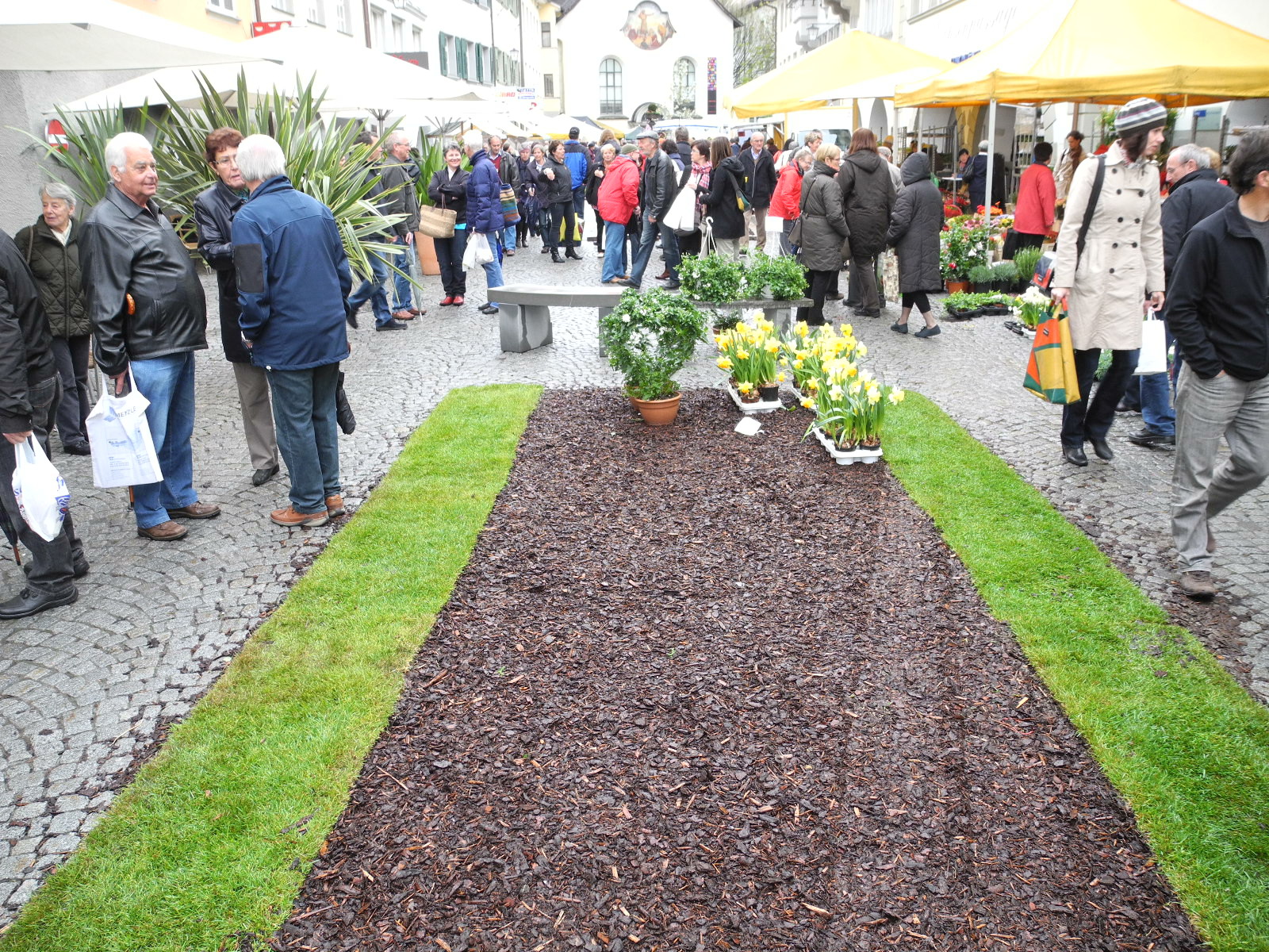 DSCN2289_JPG-1333875092