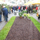 DSCN2289_JPG-1333875092