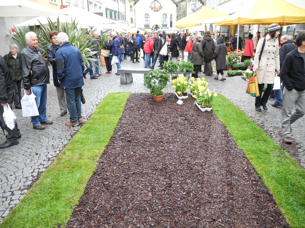 DSCN2289_JPG-1333875092