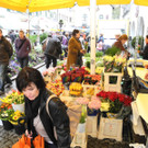 DSCN2290_JPG-1333875115