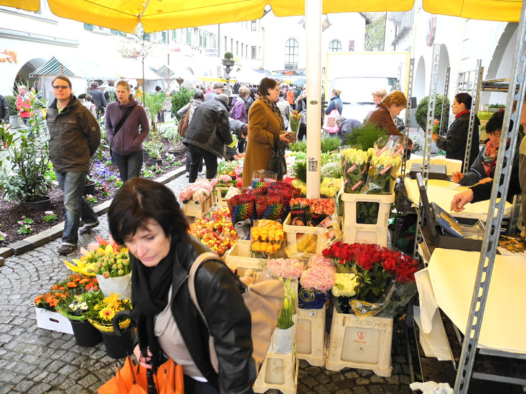 DSCN2290_JPG-1333875115