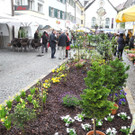 DSCN2291_JPG-1333875144