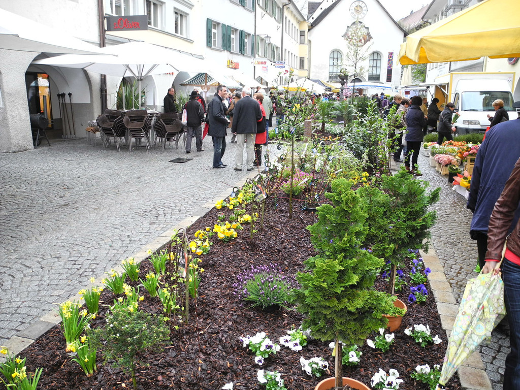 DSCN2291_JPG-1333875144