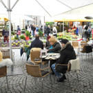 DSCN2292_JPG-1333875167