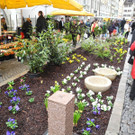 DSCN2293_JPG-1333875201