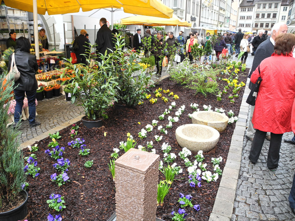 DSCN2293_JPG-1333875201