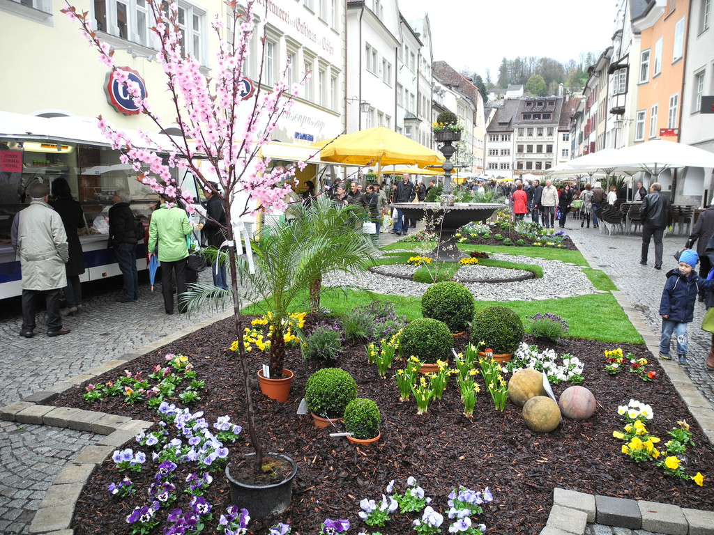 DSCN2294_JPG-1333875230