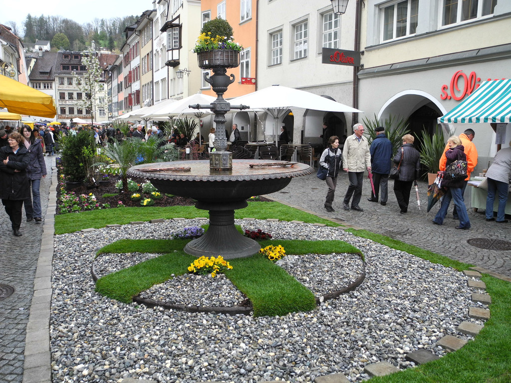 DSCN2295_JPG-1333875257