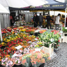 DSCN2297_JPG-1333875313