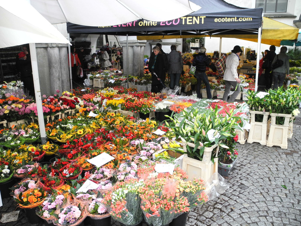 DSCN2297_JPG-1333875313