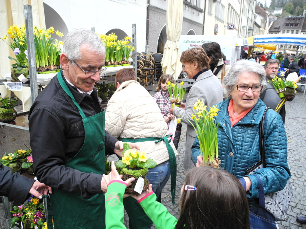 DSCN2302_JPG-1333875335