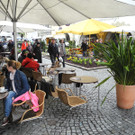 DSCN2308_JPG-1333875402