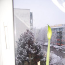 100_2975.jpg