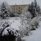 20120408_05.JPG
