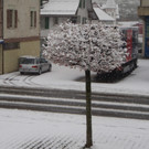 20120408_06.JPG