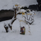 20120408_10.JPG