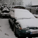 ALIM9846.JPG