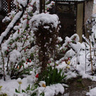 DSC01673.jpg