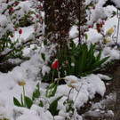 DSC01675.jpg