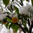 DSC01677.jpg