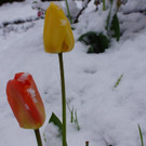 DSC01680.jpg