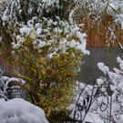 DSC01681.jpg