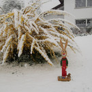 DSCF0104.JPG