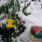 DSCN3475.JPG