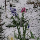 DSCN3476.JPG