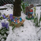 DSCN3478.JPG